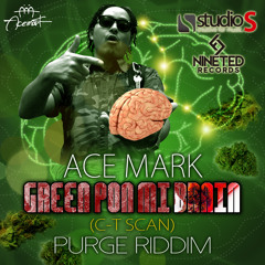 Ace Mark - Green Pon Mi Brain
