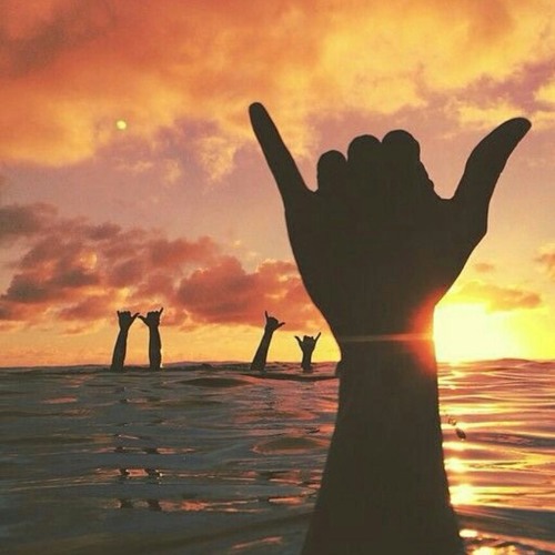 Artic Monkeys - Hold on, we're going home.