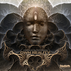 Own Reality By Psyorama - TEASER