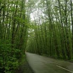 Javad Dadian - Salam Aleykom