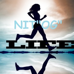 NIT"OG" - LIFE ( ORIGINAL MIX )