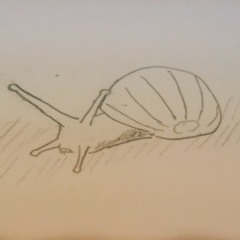 雨後的蝸牛 Snail After the Rain