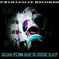 WHAT YOU GON' DO---HASANI IKE900 BANZ OG BOOBIE BLACK produced by DY of 808 MAFIA