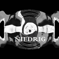 Niedrig - Darkness Is The Solution