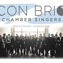 There Is No Rose by Colin Britt