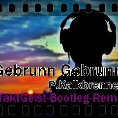 Gebrünn Gebrünn P.Kalkbrenner (TaktGeist Bootleg-Remix)