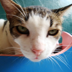 sábado de martes loco