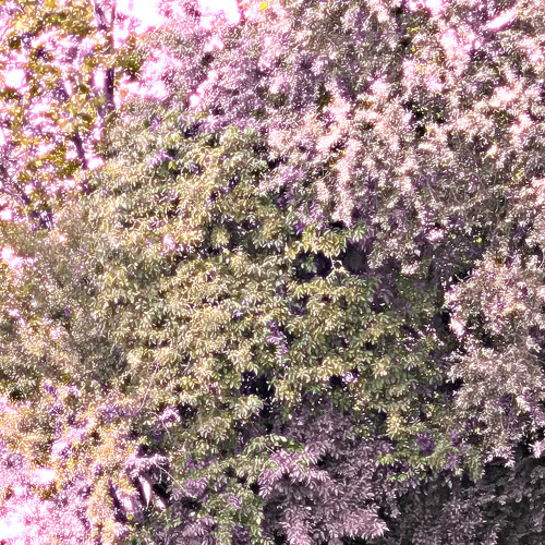Mists