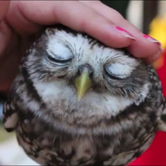 MiniatureAvecTendresse