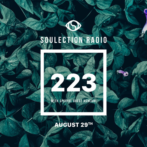 Soulection Radio #223