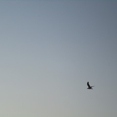 DJ Mix Mai 2005 Part 1