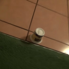 Bug In A Yogurt Cup: an Original Song by Melanie Lech