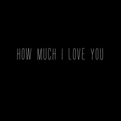 How Much I Love You