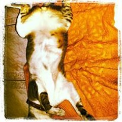 Symphony Funeral Song (Rough Demo&SAMP MIXED) 06Sep2015