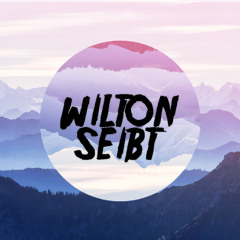 Wilton Seibt x The Forced Ones - Gone Too Soon