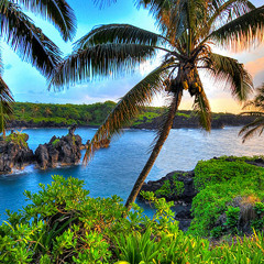 hawaii (first original)