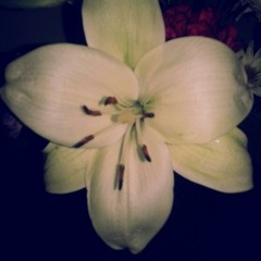 you lifted me (C) BMI