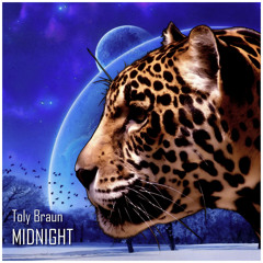 Toly Braun