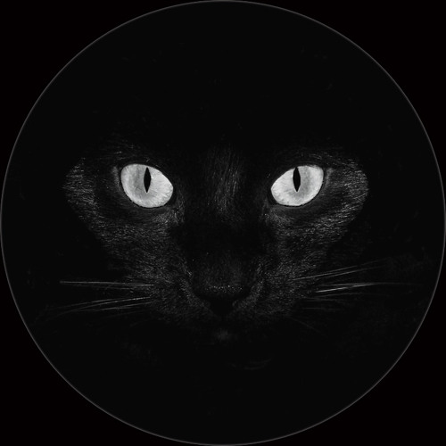 Stream OBS BLK02 Cat Side by Cult Collective | Listen online for free ...