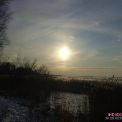 Evolutionary Sincereness