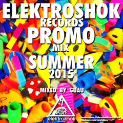 PromoMix Summer 2015 - Mixed by Guau