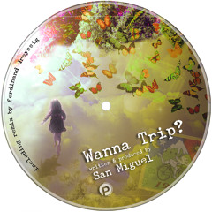 San Miguel - Wanna Trip (Original Mix) *PHT023*