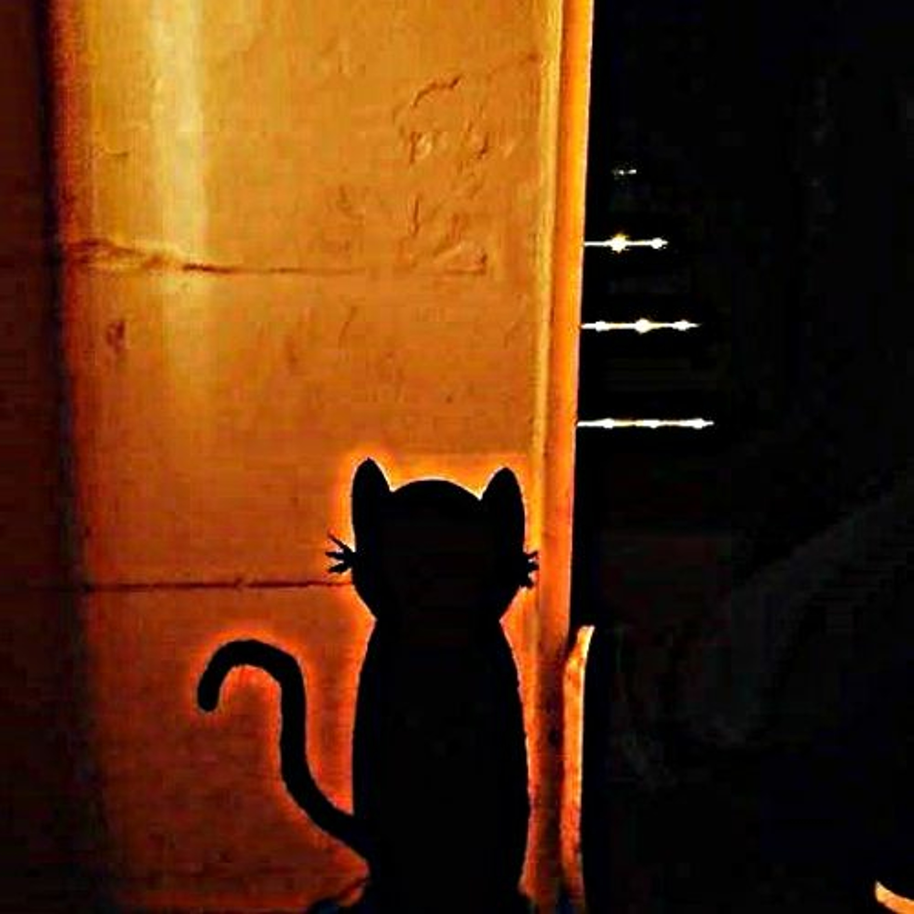 maxense - nachts sind alle katzen grau - Podcast #6