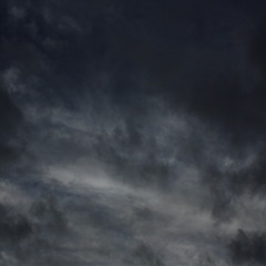 Head Of An Animal (electric demo)