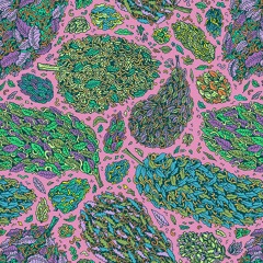 Kyle.Blvd ft Zen Lennon - Cyph life