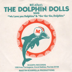 The Dolphin Dolls - Miami Dolphins Go, Go Go