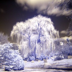 Winter Is Coming