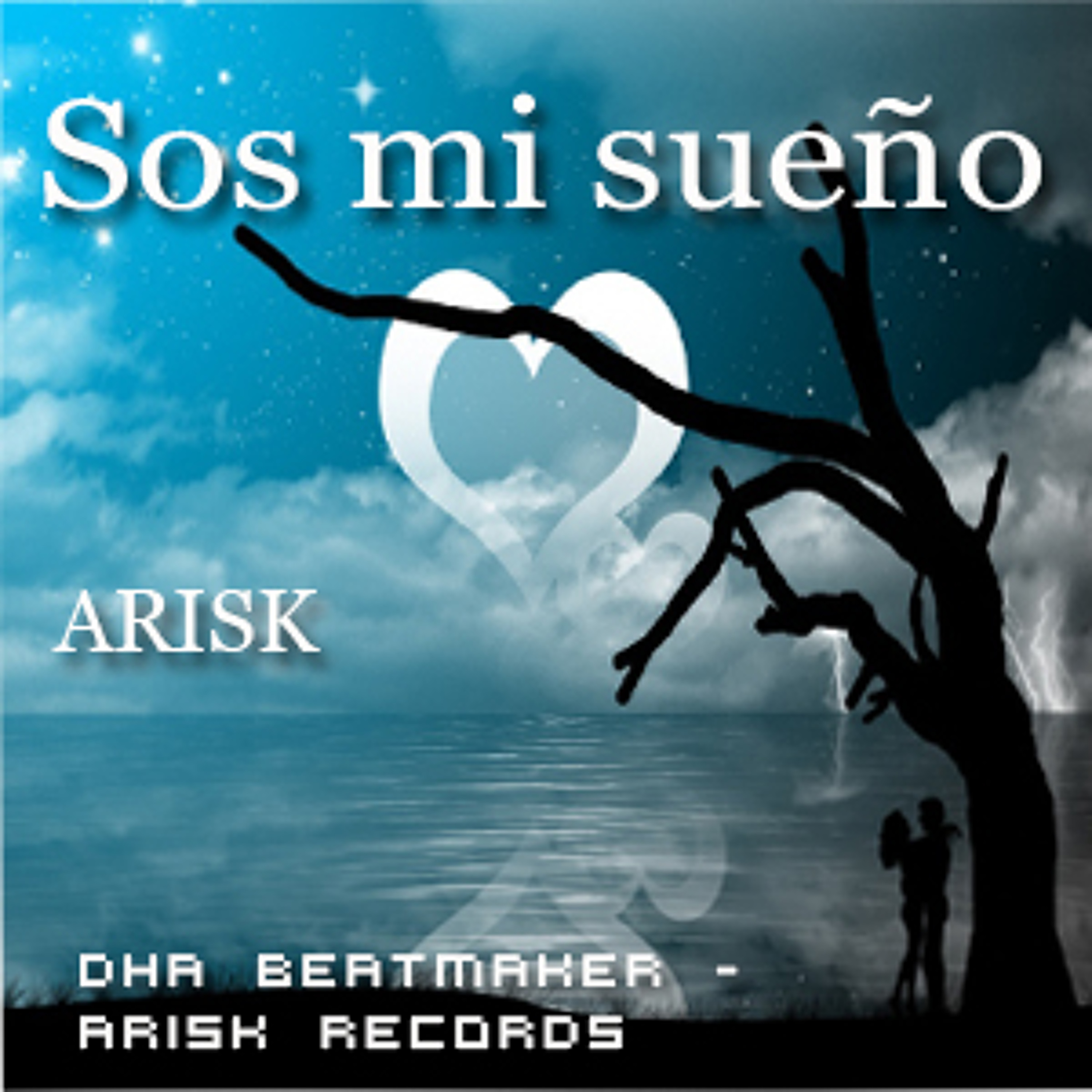 Arisk slv 503