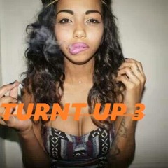 Turnt Up 3 Mix - ft Rico Richie, Dej Loaf, Future, DJ Chose, Chinx, Baeza, Tyga