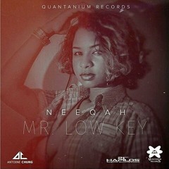 Neeqah - Mr Low Key (Raw)