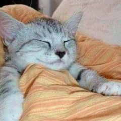 Renacimiento 74-Querreque