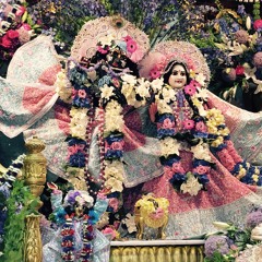 Srila Prabhupada Appearance 2015 - Acyuta Gopi