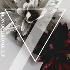 Monochrome T.V. (instrumental prototype ver.)