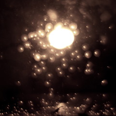 Plan Shamrock with Edwina Allcock