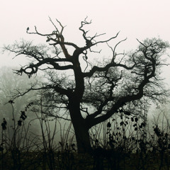 Lost in Limbo - Adaptive Ambience Demo