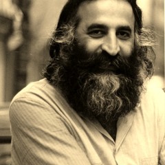 درآمد و پیش درآمد همایون از استاد محمدرضا لطفی
