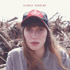 ALDOUS HARDING