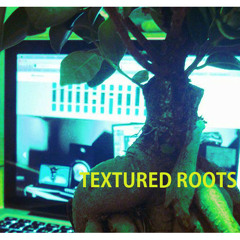 TEXTURED ROOTS 24. Dancing In The House