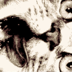 Catcrazed“disquiet0192-psycatdelicloop”