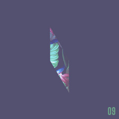 DONDONSELECTS: September 2015