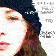 Try Feat Marie Tweek(Sample)