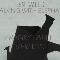 Ten Walls - Walking With Elephant (Franky Label Version)
