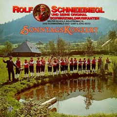 Schwarzwälder Liedermarsch  (Rolf Schneebiegl)