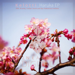 Kelotti - Haruka (Ryo Nakamura Remix) 【Pineapple Digital】