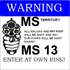 Eme Ese - La Mara Salvatrucha