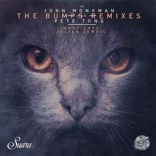 [Suara] Pete Tong & John Monkman - The Bumps (Coyu Remix)